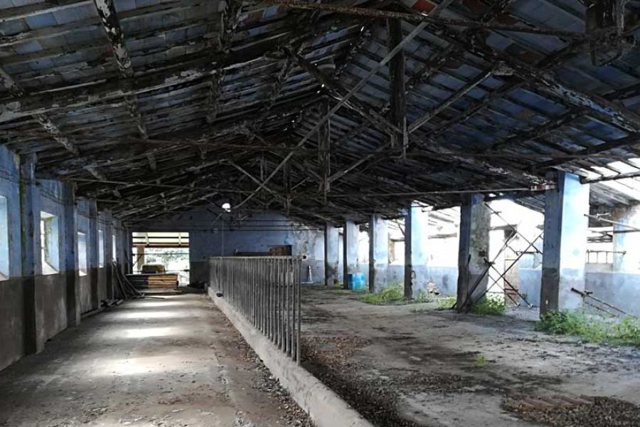 Interno prima